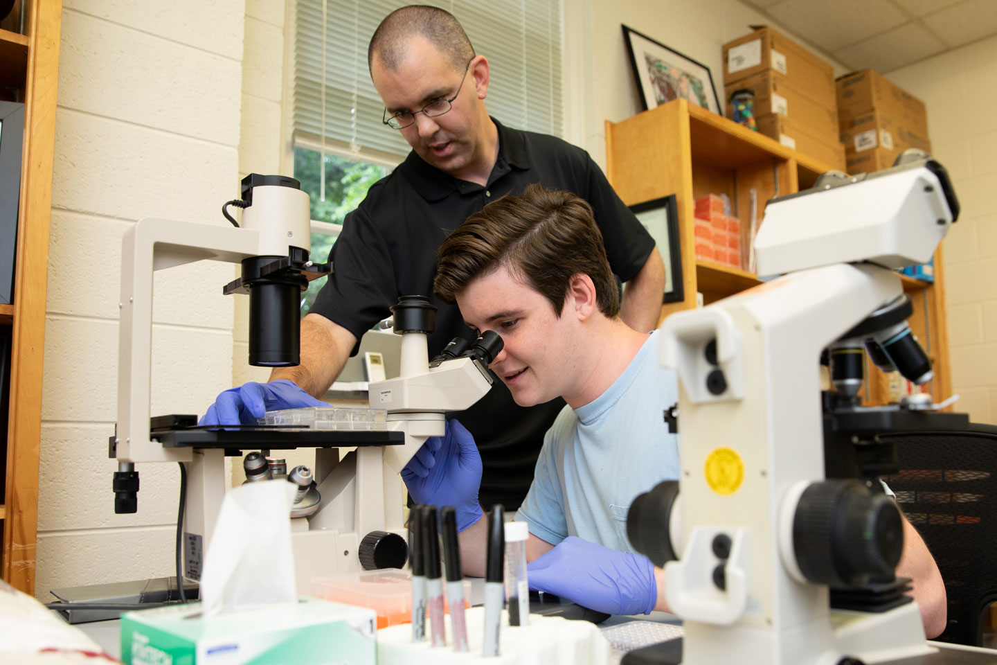 Hargadon and student working with a microscope