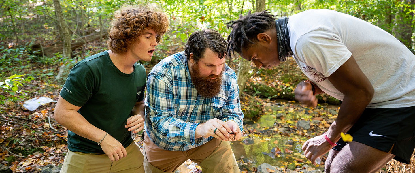 Professor and students investigating flora and fauna in a stream