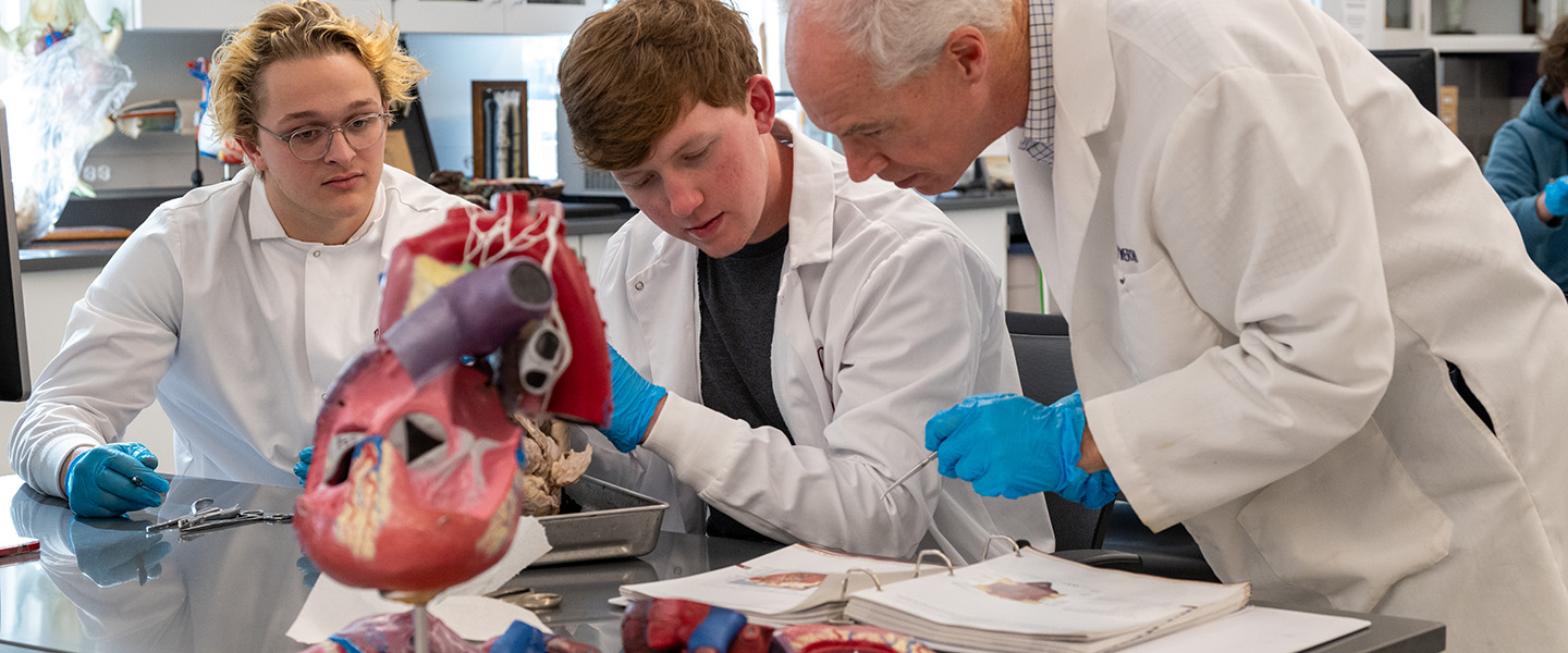 a professor with his students studying anatomy in the laboratory