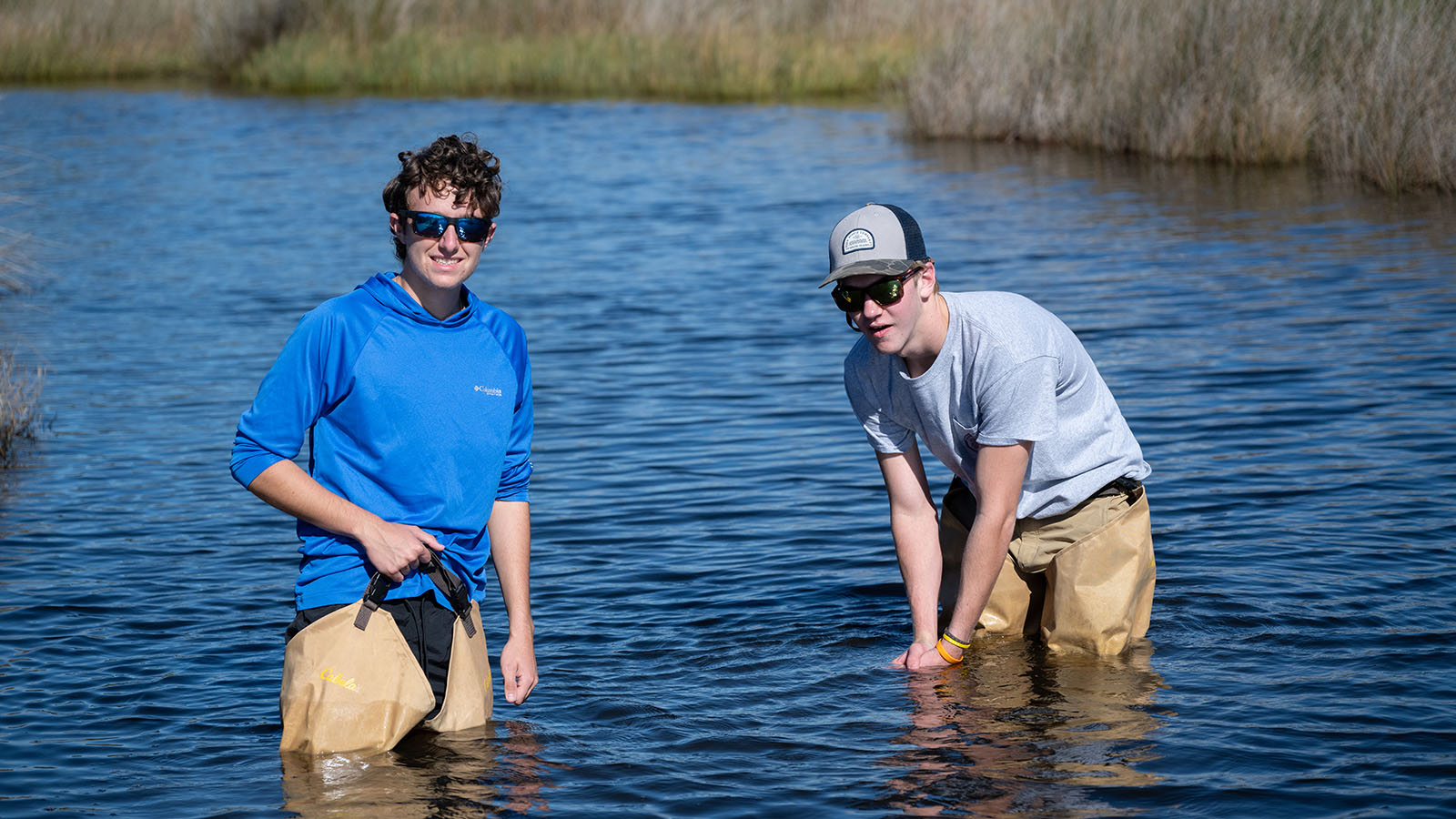 students standing in the Hatteras Island bay doing research
