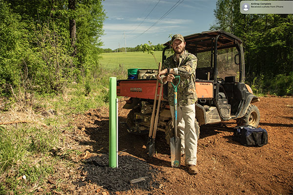 Haynes Shelton standing in a tree sapling stand
